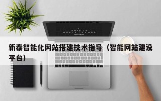 泗洪新泰智能化网站搭建技术指导（智能网站建设平台）